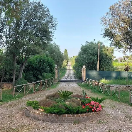 Pantiera