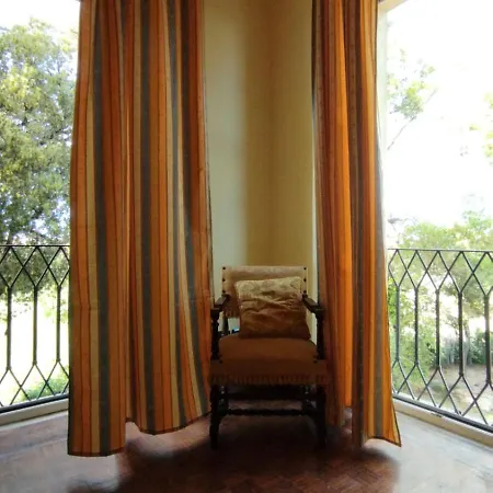 Pantiera Martinsicuro