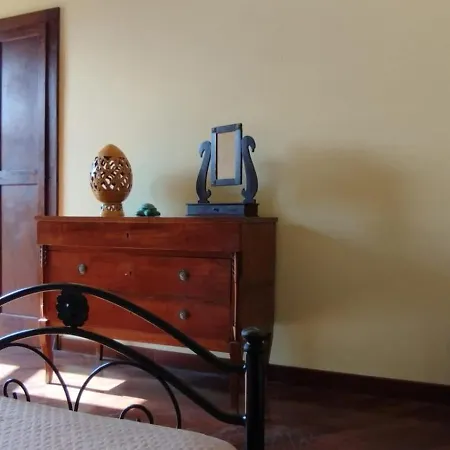 Pantiera 3*