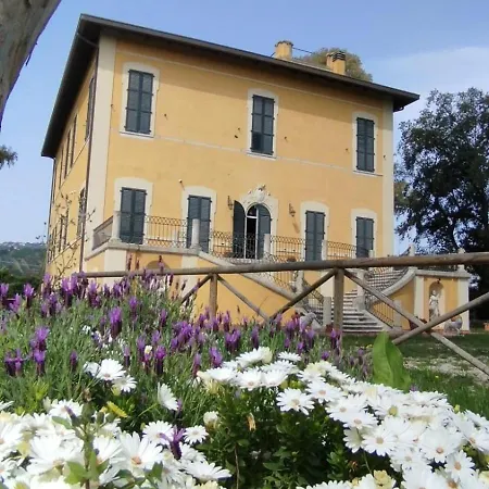 Pantiera Martinsicuro