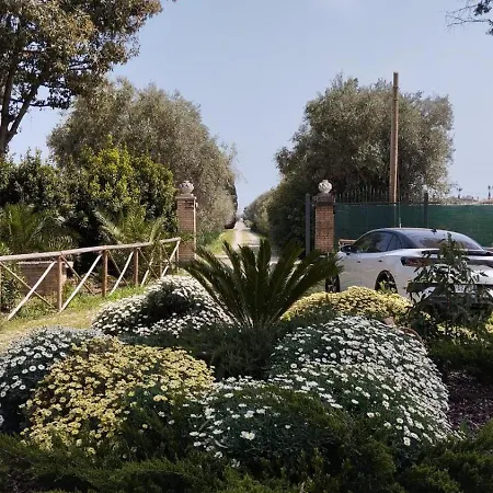 Pantiera *
