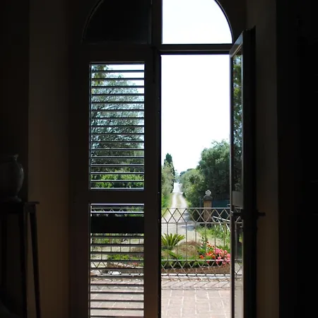 Pantiera 3*