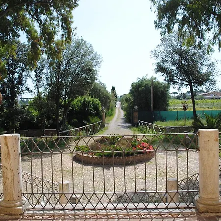 Oda ve Kahvaltı Pantiera Martinsicuro